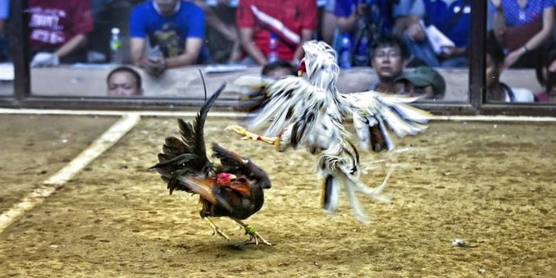 pg1 ﻿đăng nhập lô đề uy tín