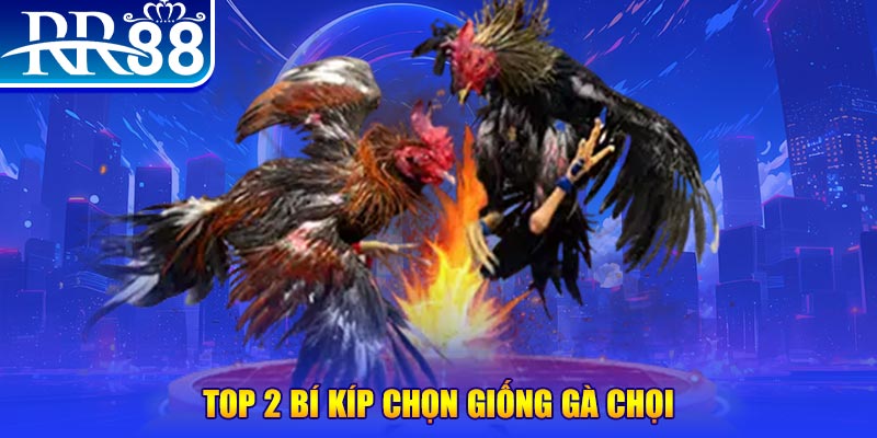 pg1 bắn cá h5