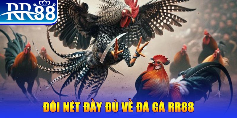 pg1 gà chọi hoà phong