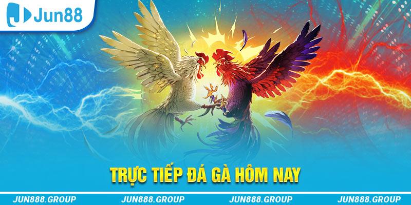 pg1 trực tiếp đá gà thomo