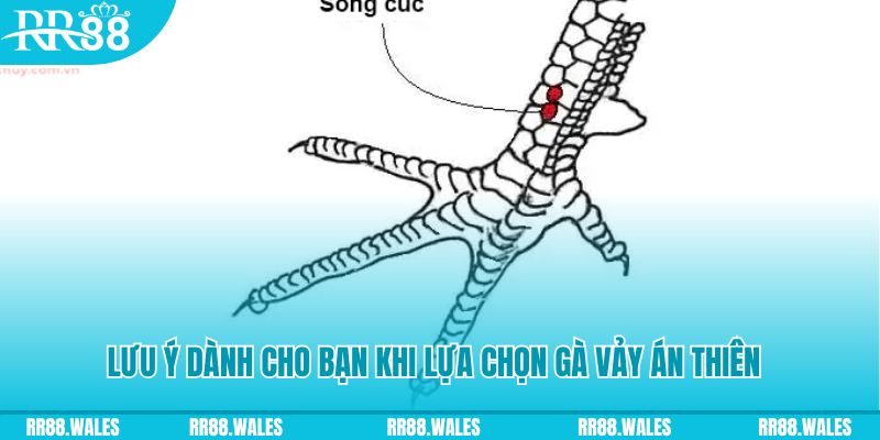 pg1 xổ số khánh hòa