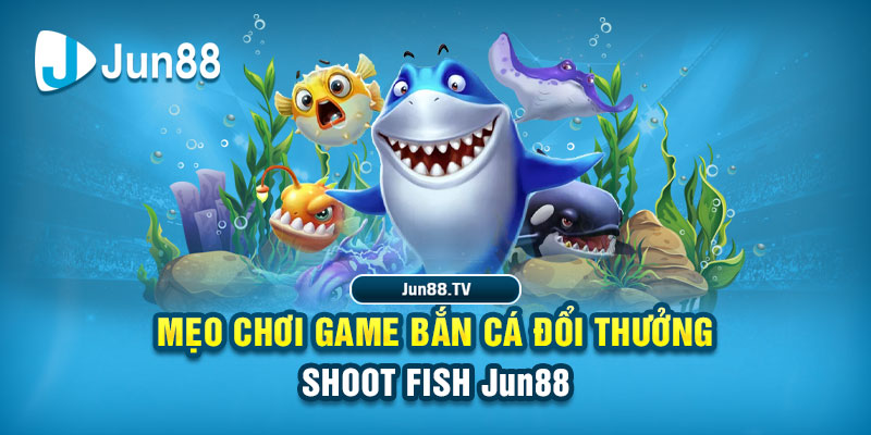 pg1 tải game đánh bài online về máy tính