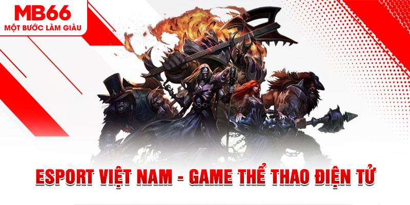 pg1 PT Điện Tử