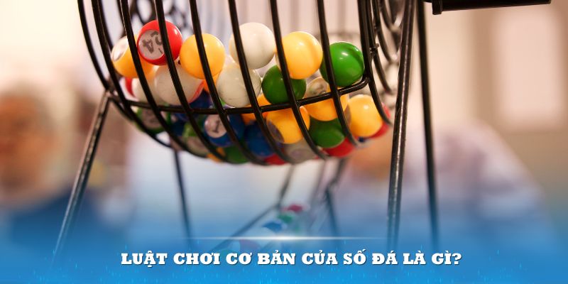pg1 Đĩa màu ace