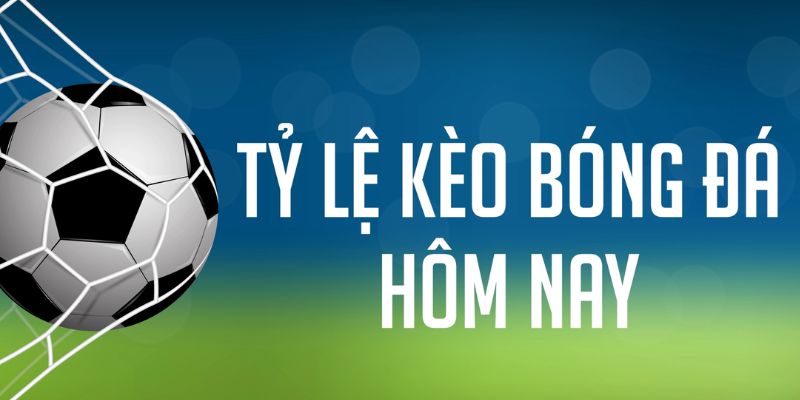 pg1 ÁT CHỦ MÁY HOA QUẢ THẦN TÀI