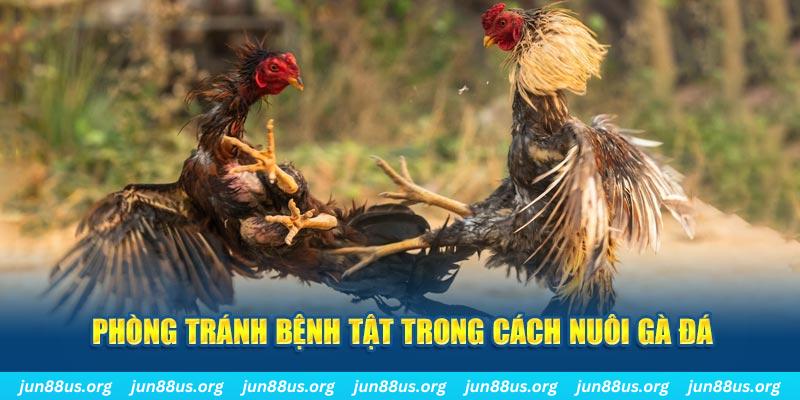 pg1 natural” trong baccarat nghĩa là gì？