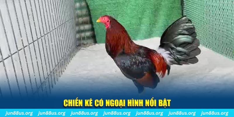 pg1 nhạc slot là gì